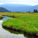 steigerwald lake