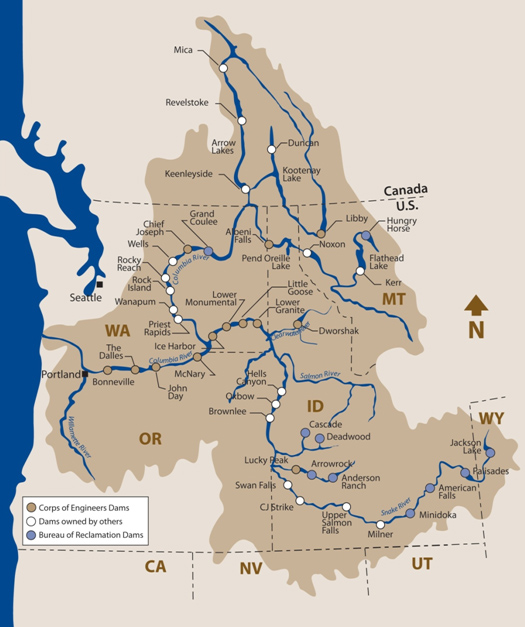 fig1_map.jpg?width=418.66028708133973&height=500