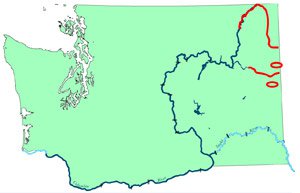 Northern Pike Invade Upper Columbia River
