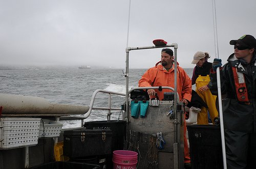 Tagging Sturgeon in Astoria