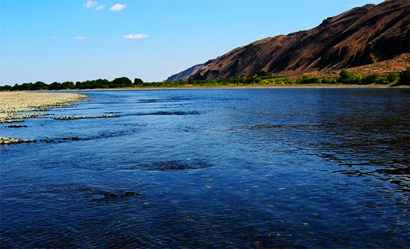 The Hanford Reach: A Stretch of River Reborn and a Salmon Run Preserved