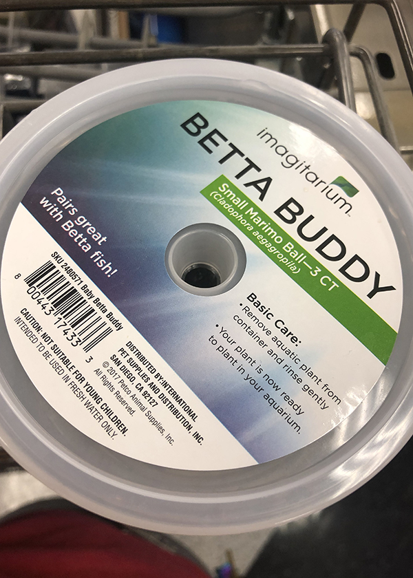 betta buddy petco