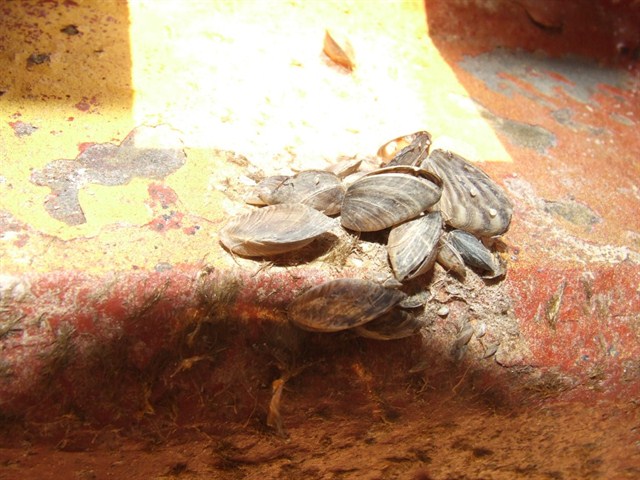 Up close photo of a contaminated barge