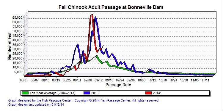Salmon returns to the Columbia River are strong in 2014 | Northwest