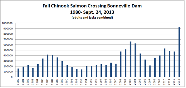 Fall Chin At BON