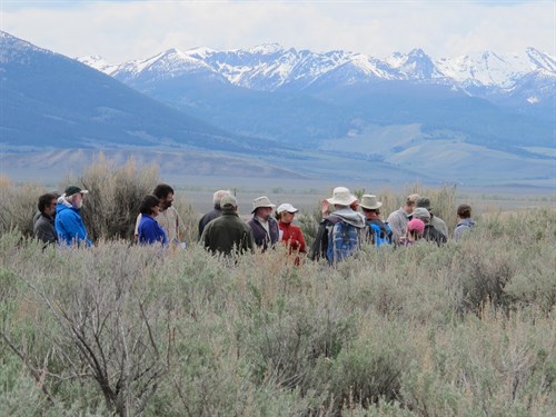 Lemhi , Sagebrush & Mts.