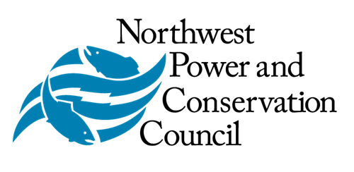 Logo Color