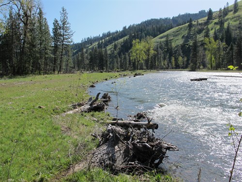 Meacham Creek , Umatilla