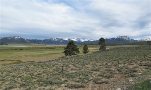 Pole Creek , Sawtooth Mts ., Idaho , Irrigation Diversion , Grazing Management